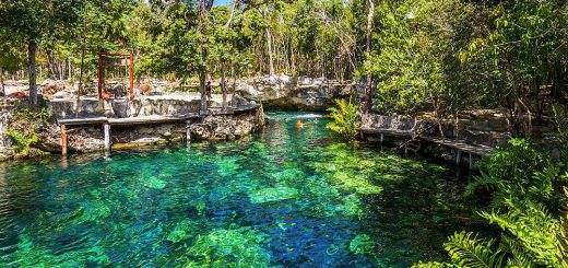 Cenote Casa Tortuga