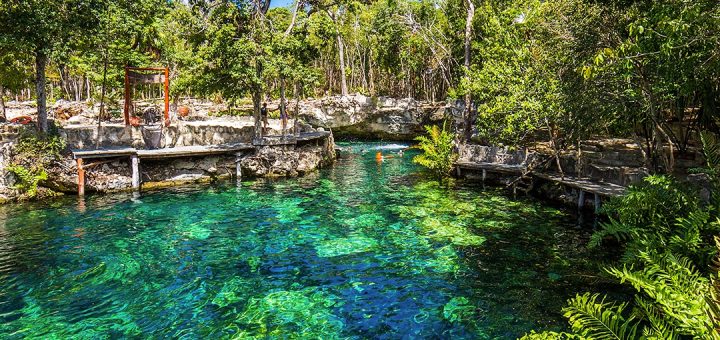 Cenote Casa Tortuga