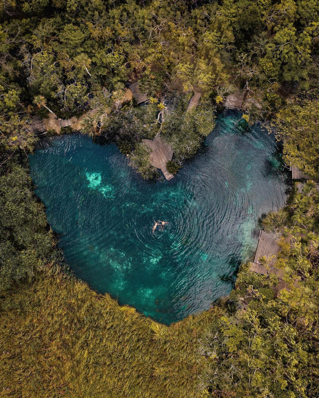 Cenote corazón
