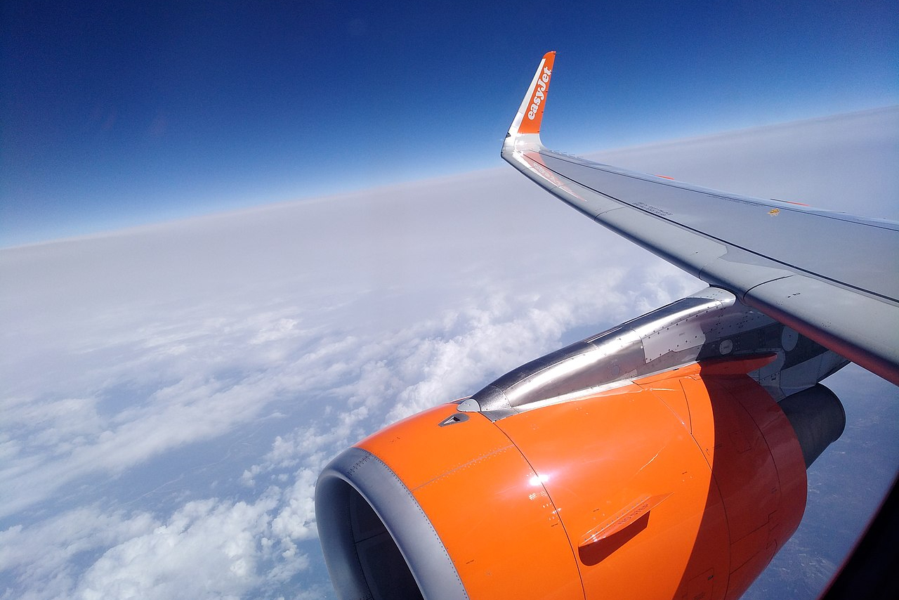 The anatomy of an airline