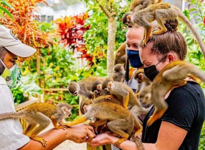 Monkeyland Punta Cana