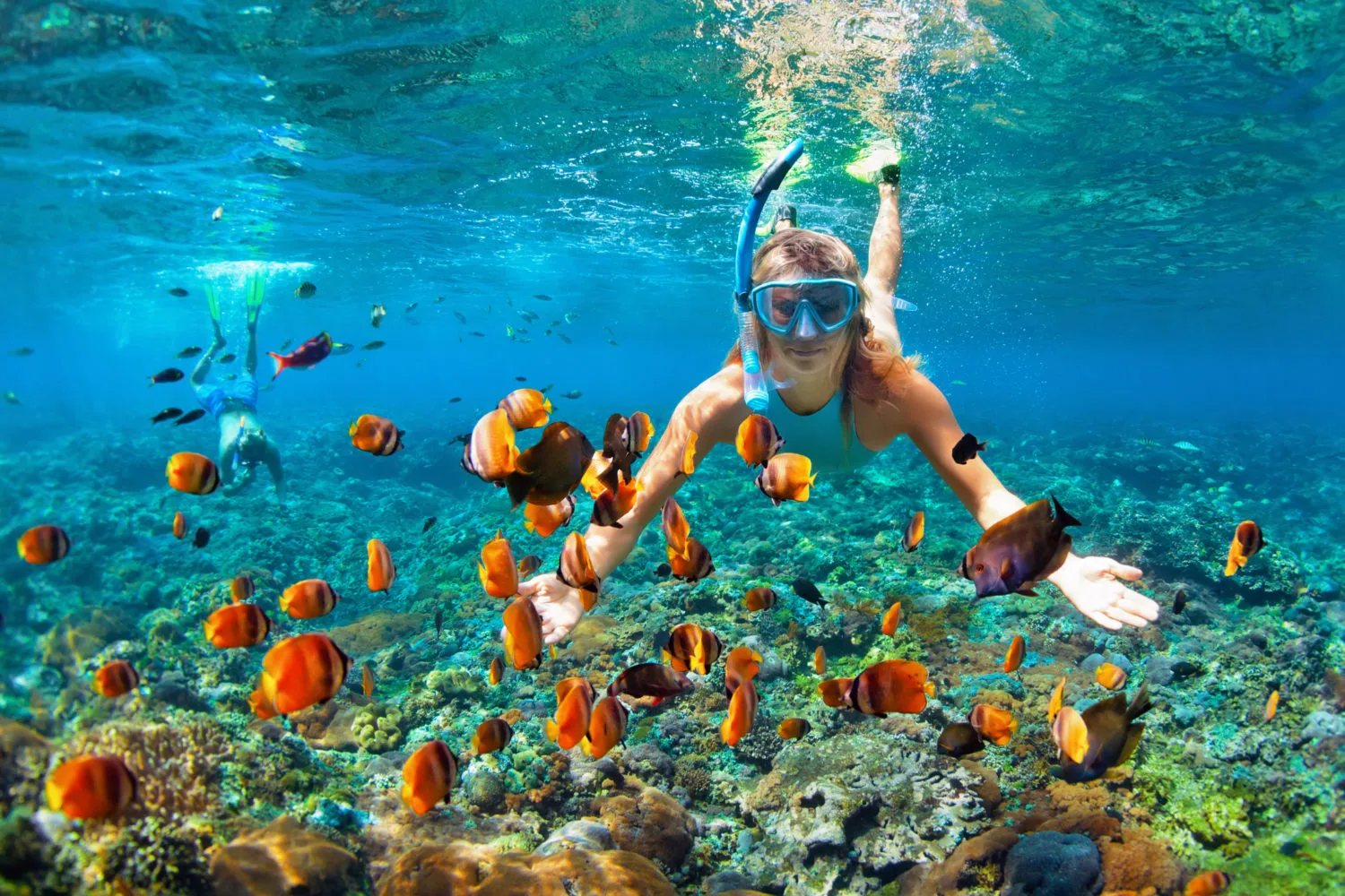 Snorkeling in Punta Cana