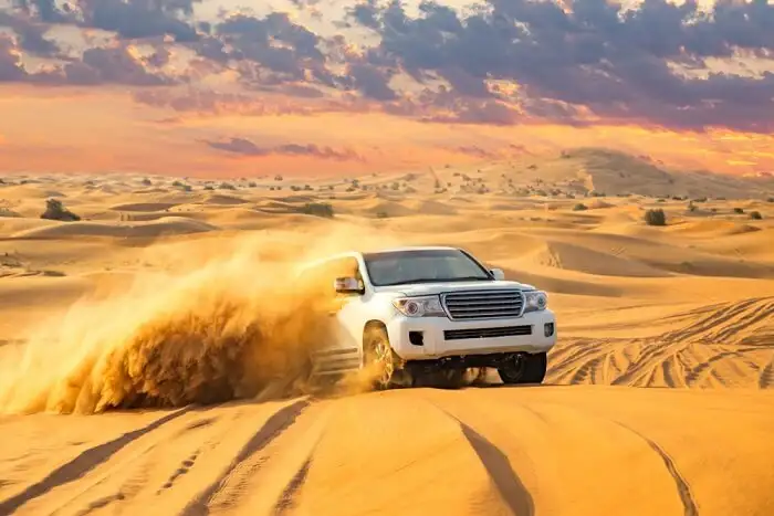 abu dhabi desert safari half day tour