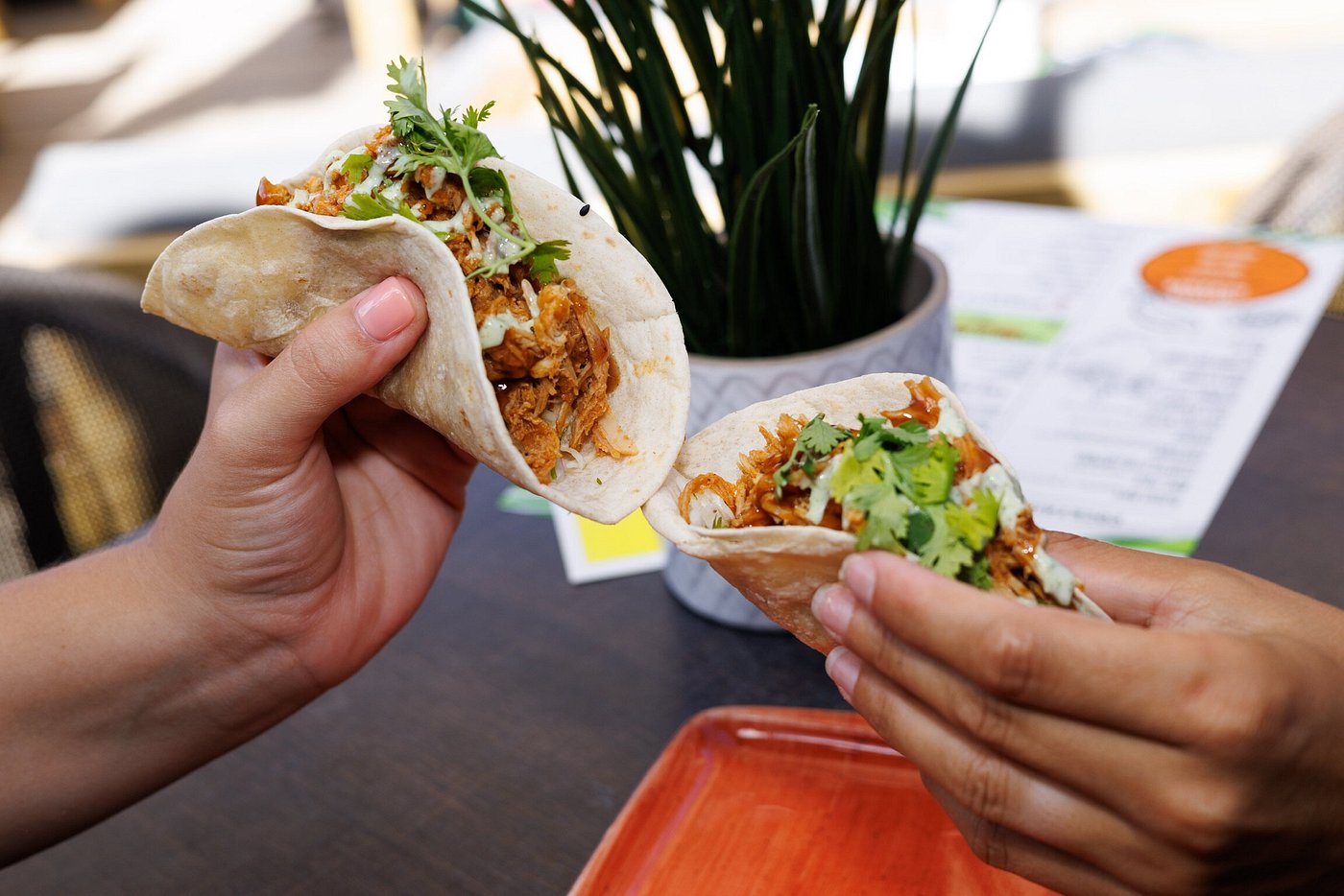 Onnos Bavaro, Taco Tuesday