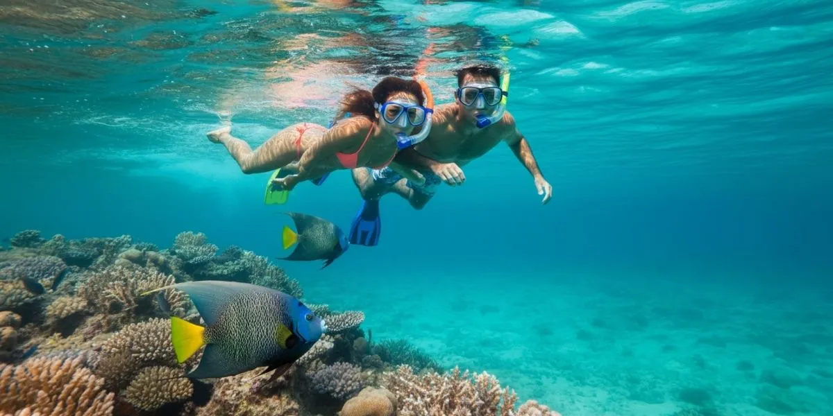 Snorkeling Expedition at Cabo Pulmo National Park from Cabo San Lucas