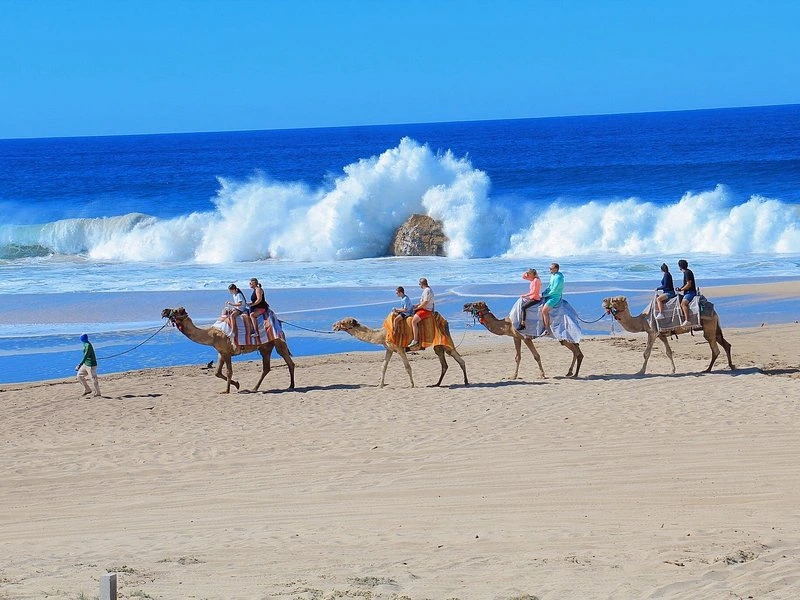 Tours and Activities in Los Cabos