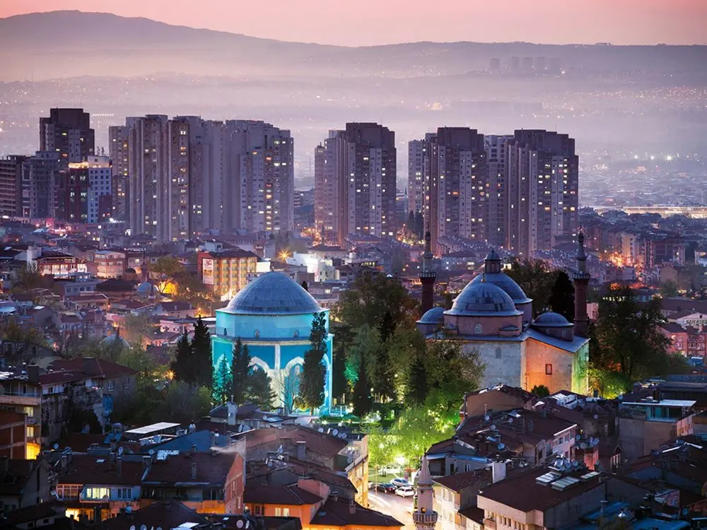 Bursa