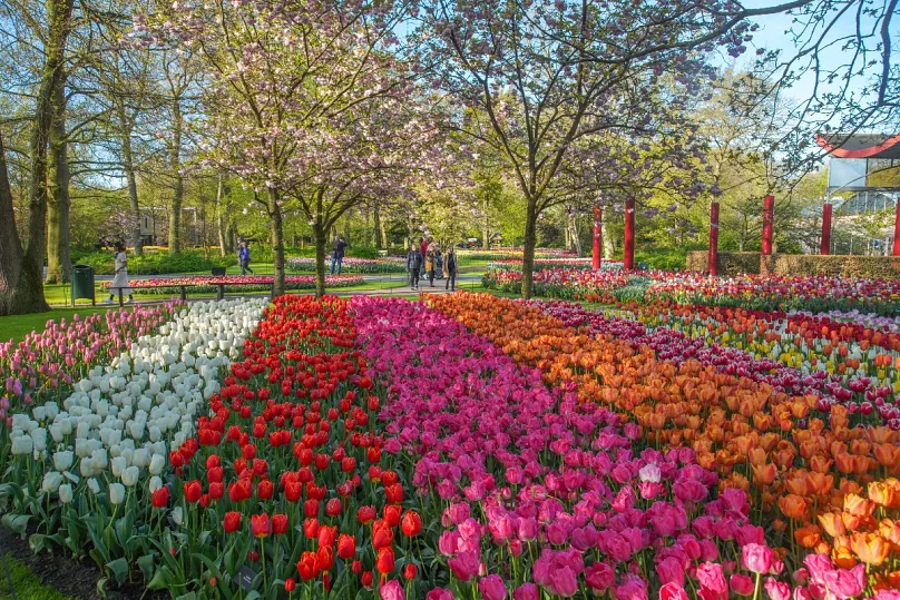 Keukenhof