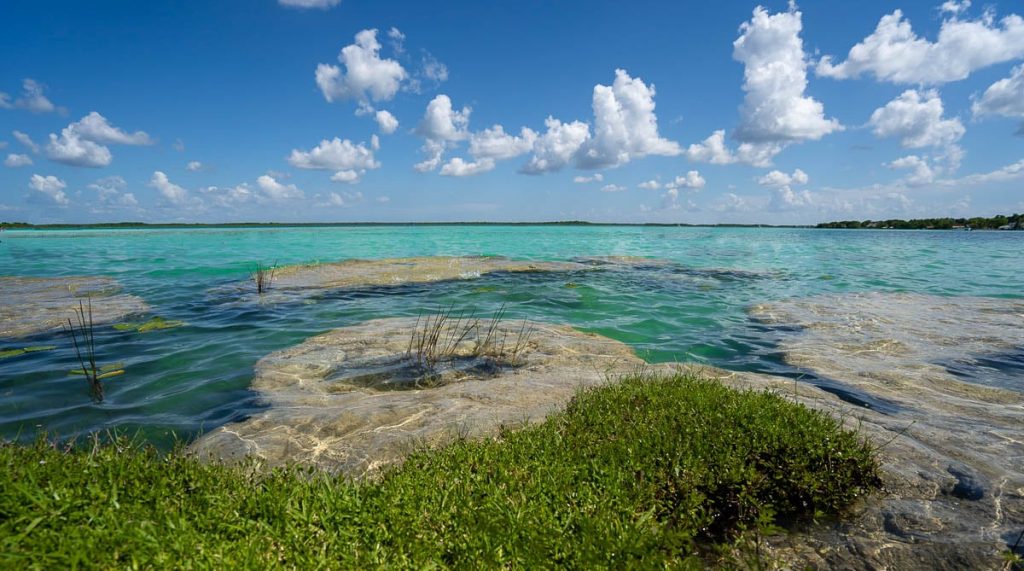 The Stromatolites (Respect Them!) The Stromatolites (Respect Them!)