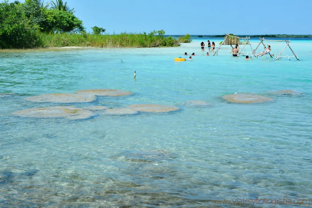 Stromatolites Stromatolites