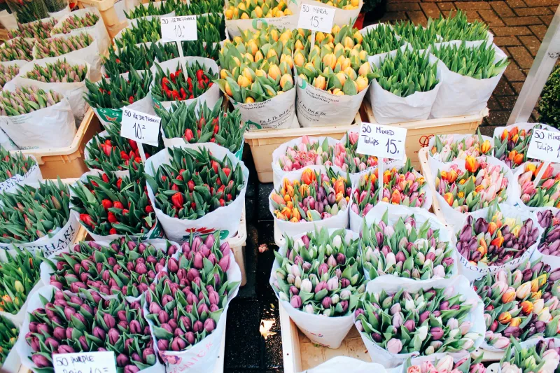Bloemenmarkt Bloemenmarkt
