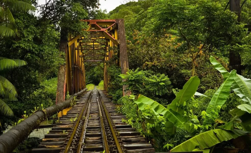 San Cipriano: Adrenaline on a "Brujita"